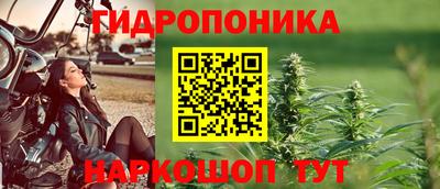 молекула духа Рыбинск