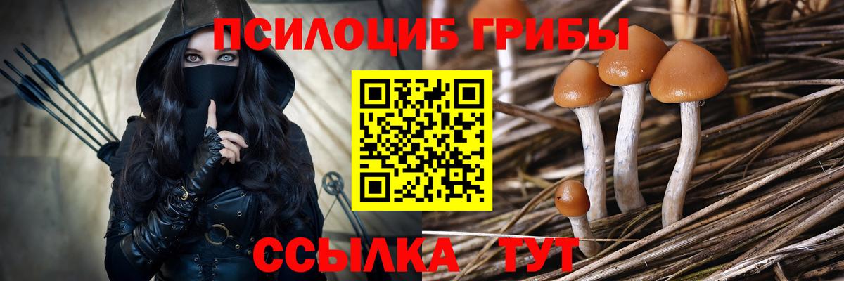 Псилоцибиновые грибы Psilocybe  Псилоцибиновые грибы мухоморы  Вход с VPN  Сафоново 